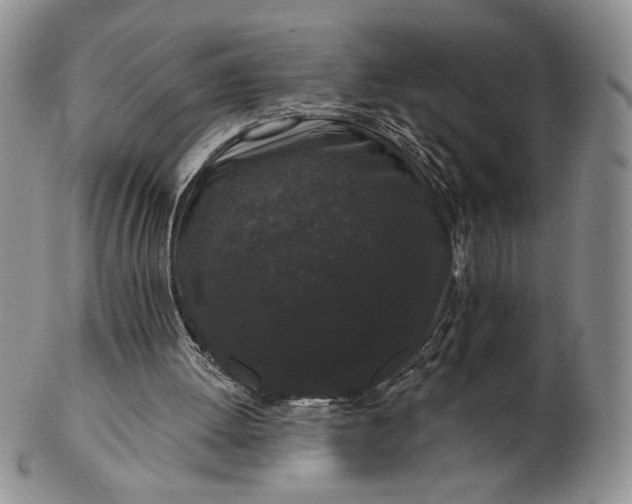 X0000103150052200809051646