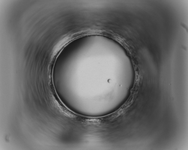 X0000103150053200809051646