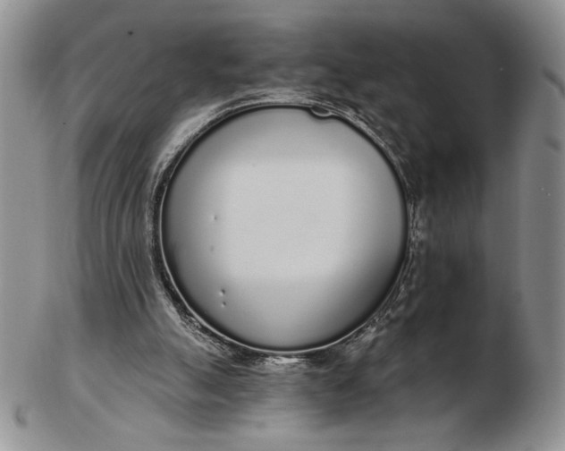 X0000103150055200809051646