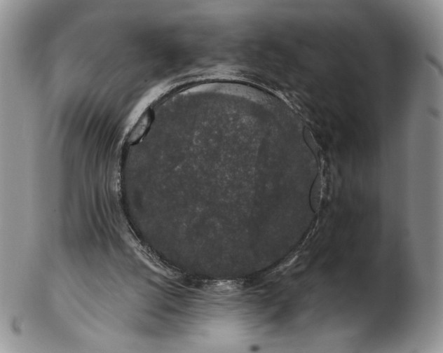 X0000103150056200809051646