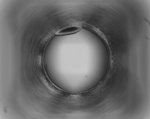 X0000103150057200809051646