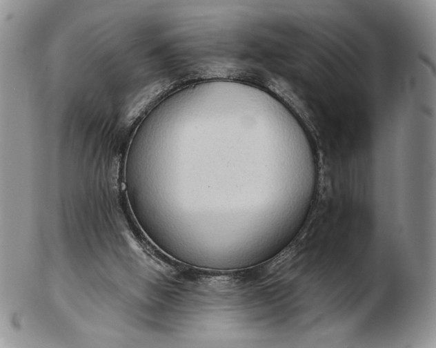 X0000103150058200809051646