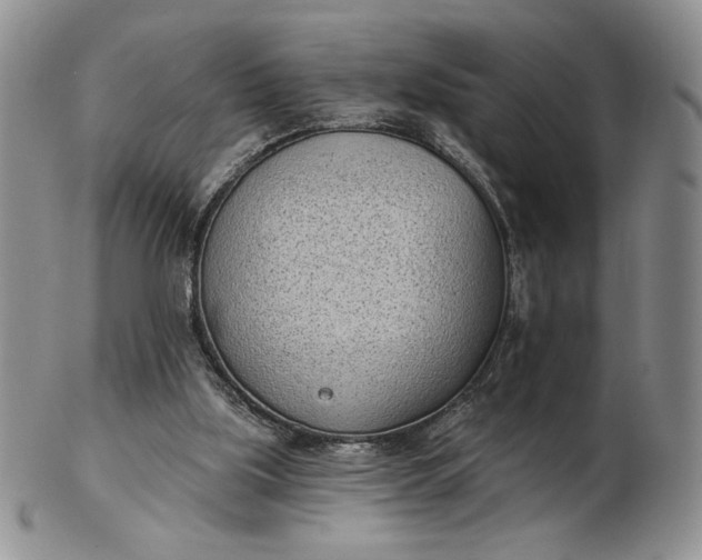 X0000103150059200809051646