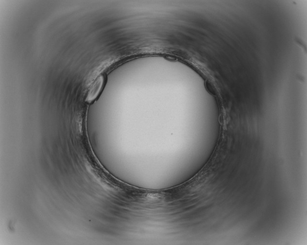 X0000103150060200809051646