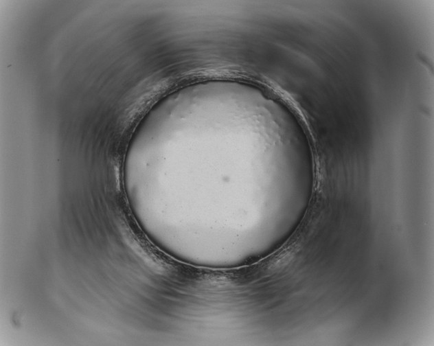 X0000103150061200809051646