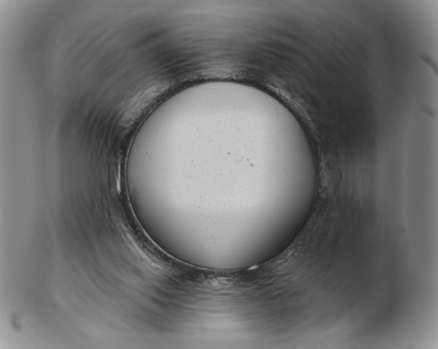 X0000103150062200809051646