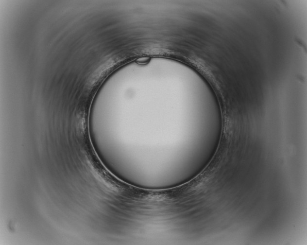 X0000103150063200809051646