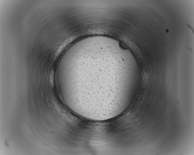 X0000103150064200809051646