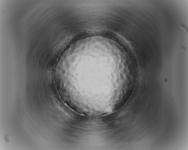 X0000103150065200809051646