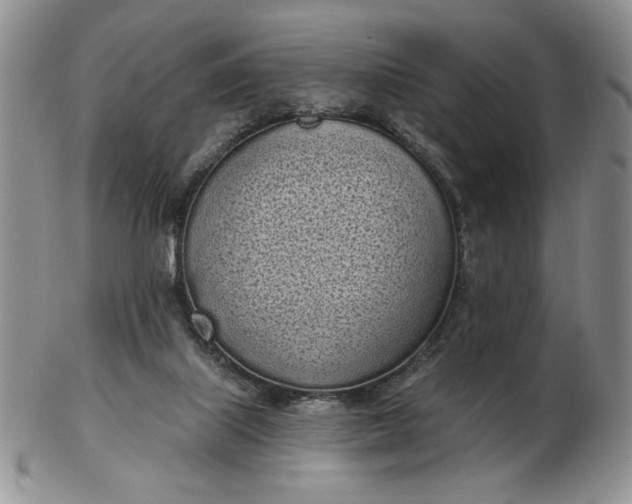 X0000103150067200809051646