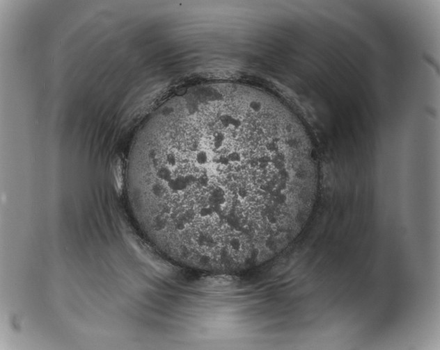 X0000103150069200809051646