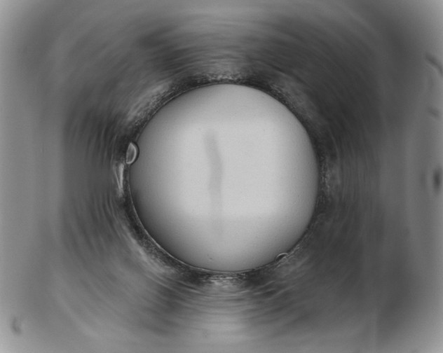 X0000103150070200809051646