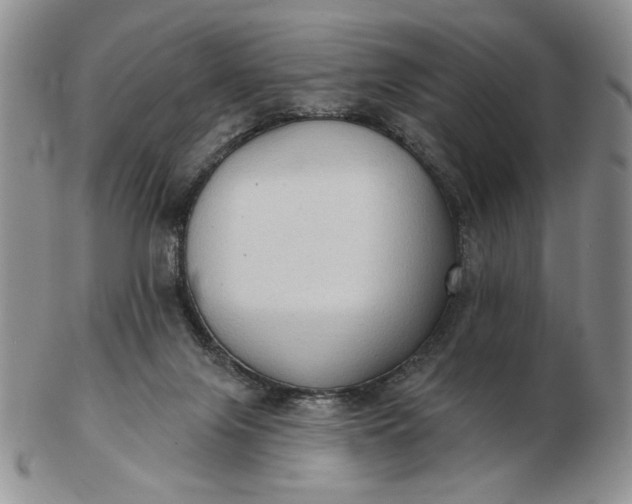 X0000103150071200809051646