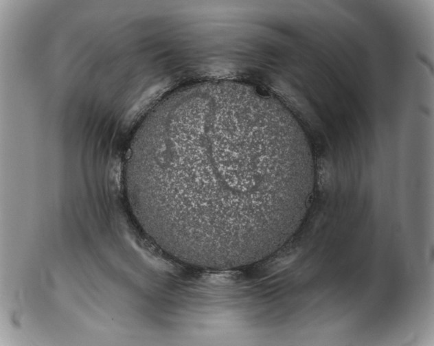 X0000103150072200809051646