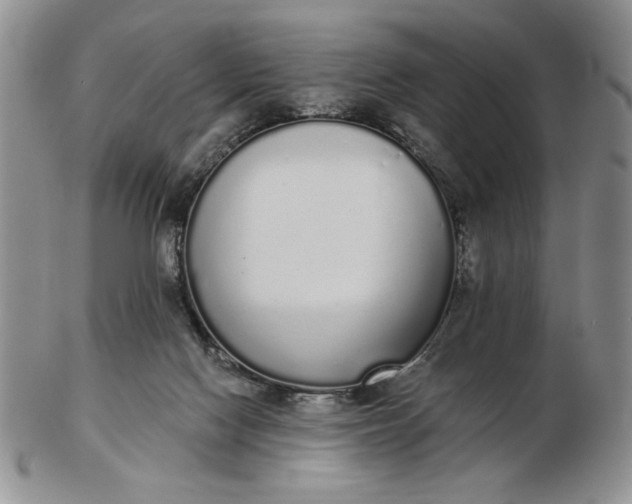 X0000103150074200809051646