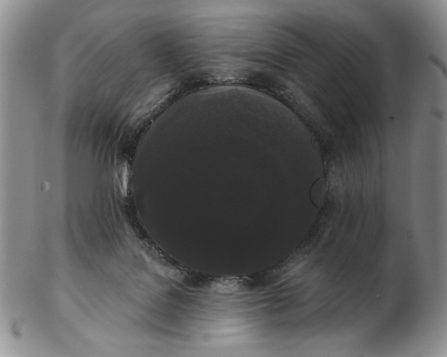 X0000103150076200809051647