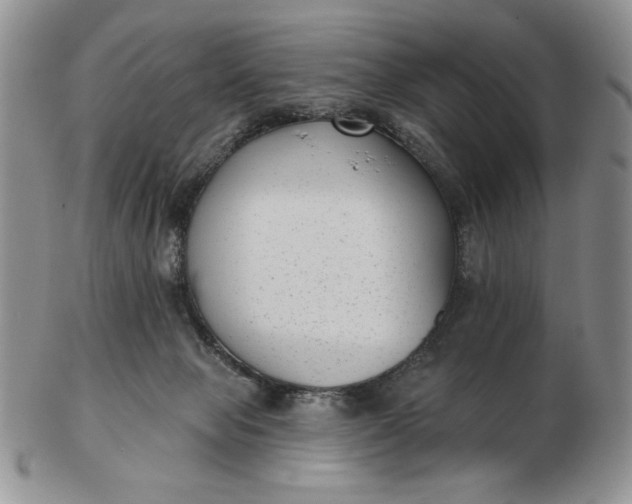 X0000103150077200809051647