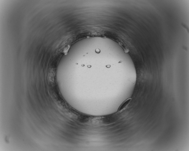 X0000103150078200809051647