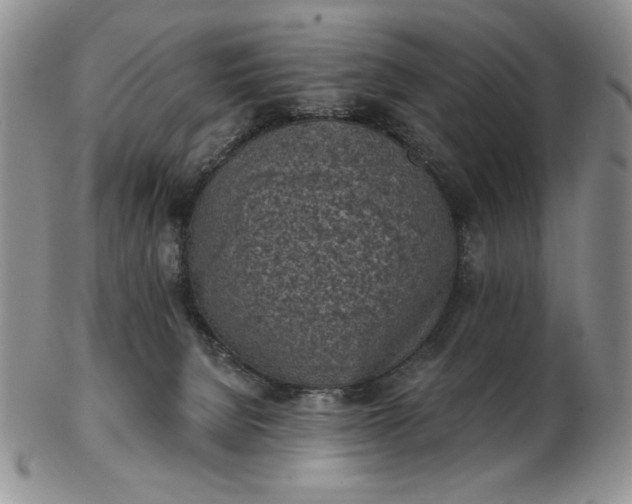 X0000103150080200809051647