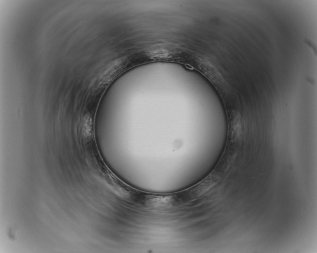 X0000103150081200809051647