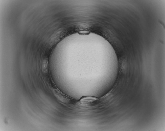 X0000103150082200809051647