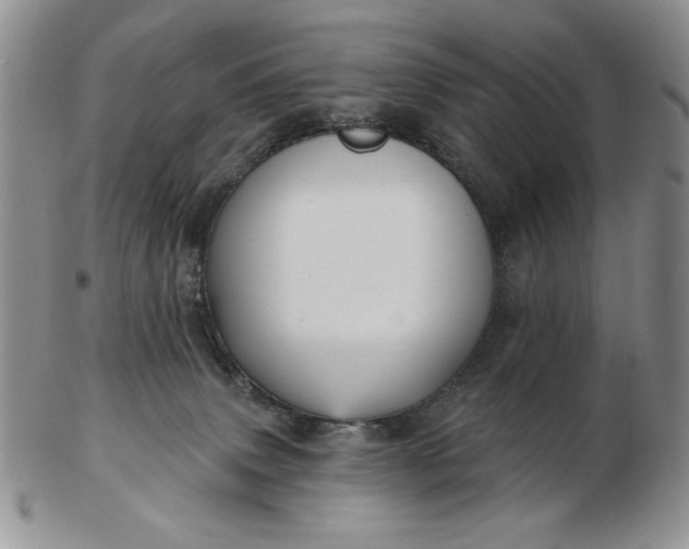 X0000103150083200809051647