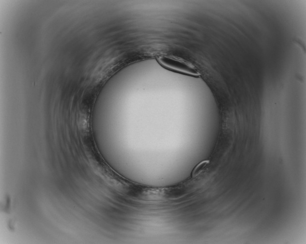 X0000103150084200809051647