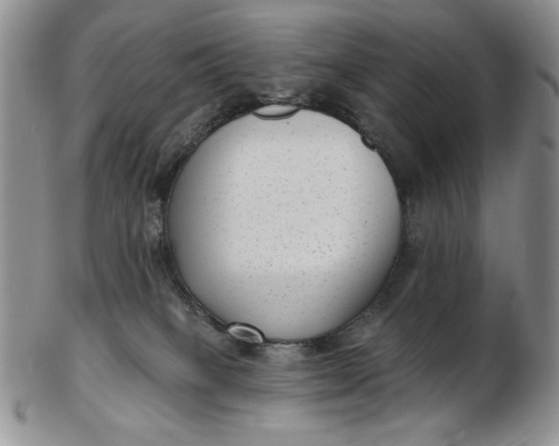 X0000103150085200809051647