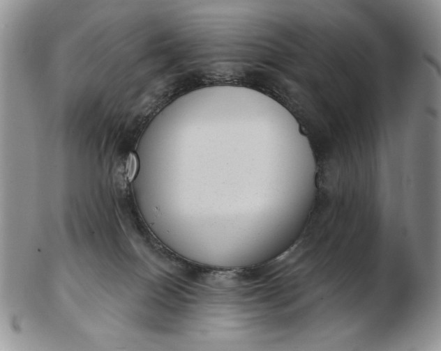 X0000103150086200809051647