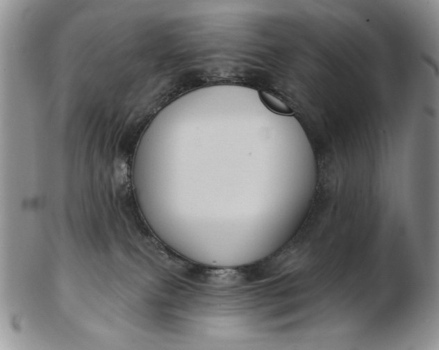 X0000103150087200809051647