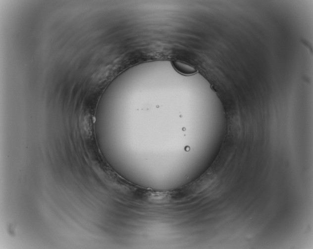 X0000103150088200809051647