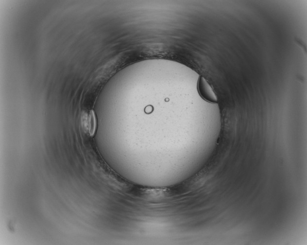 X0000103150089200809051647