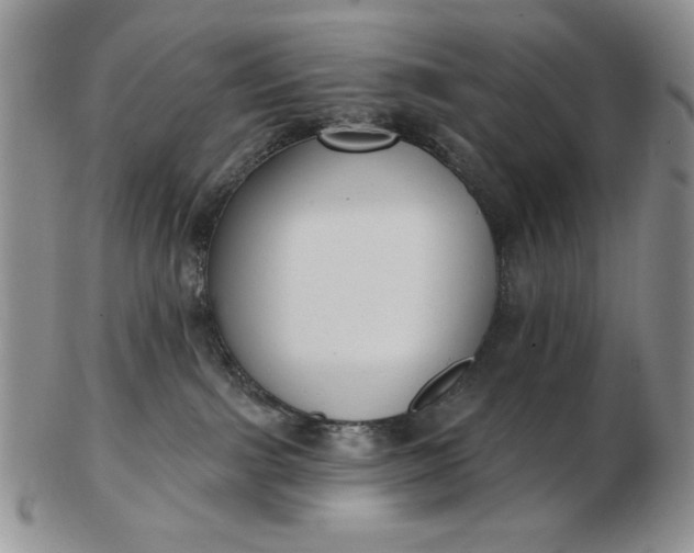 X0000103150091200809051647