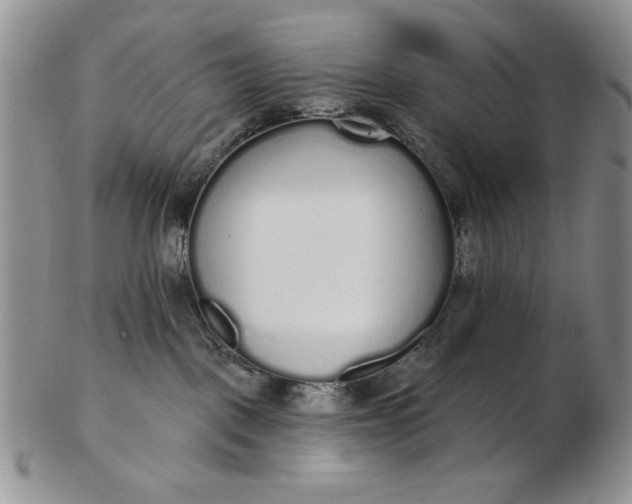 X0000103150093200809051647