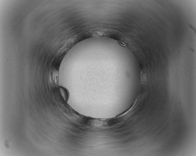 X0000103150094200809051647