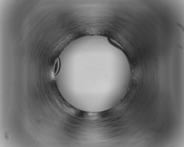 X0000103150095200809051647