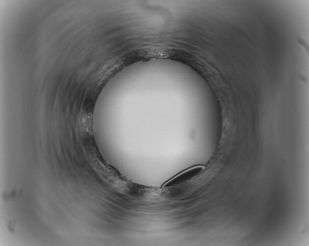 X0000103150096200809051647