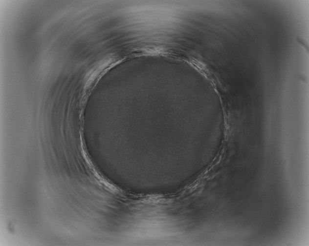 X0000103150097200809051646