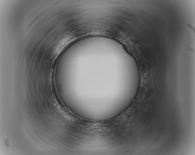 X0000103150098200809051646