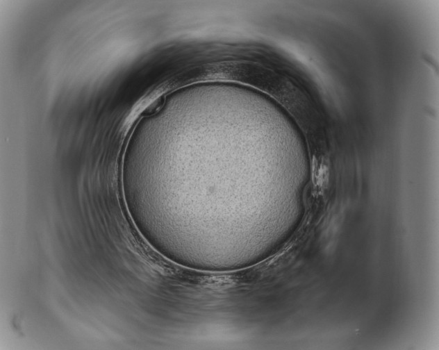 X0000103150099200809051646