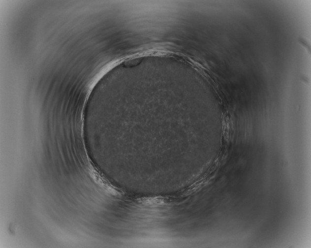 X0000103150100200809051646