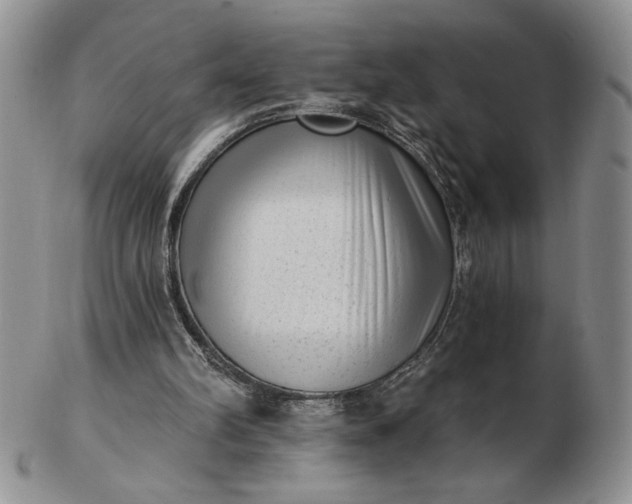 X0000103150102200809051646