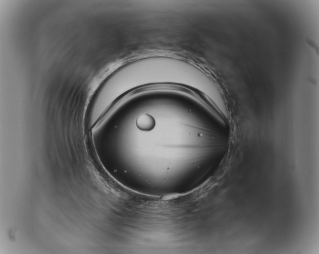 X0000103150104200809051646