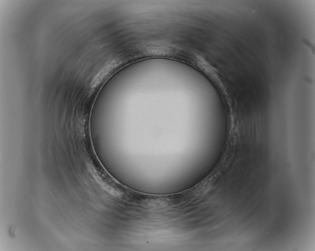 X0000103150106200809051646