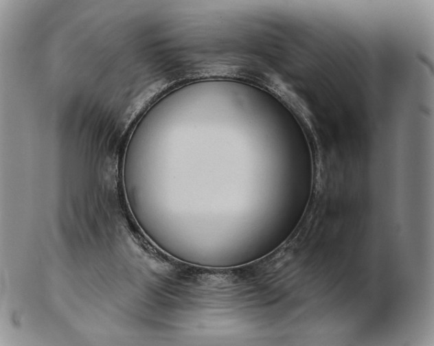 X0000103150107200809051646