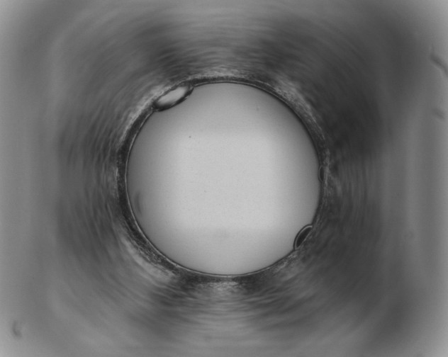 X0000103150108200809051646