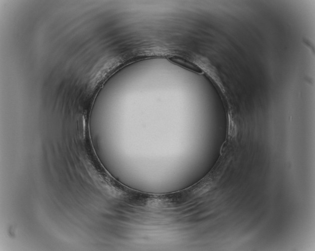 X0000103150109200809051646