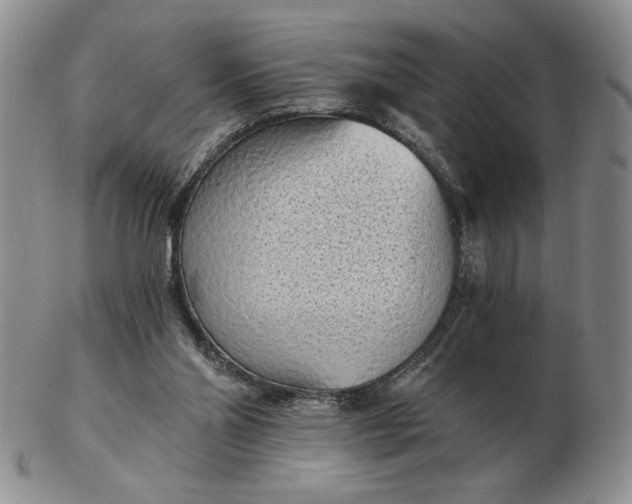 X0000103150110200809051646