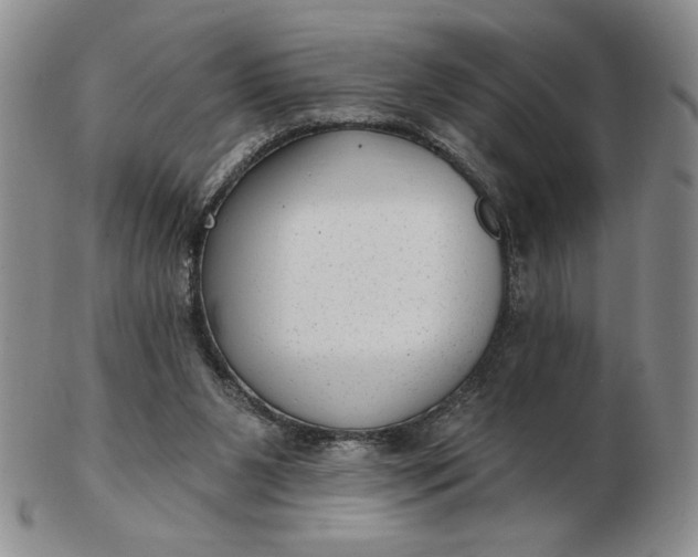 X0000103150111200809051646