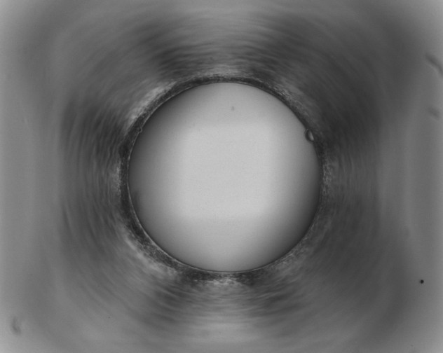 X0000103150112200809051646